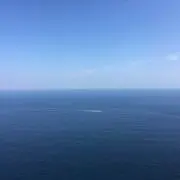 はな