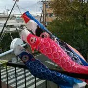 カナの画像