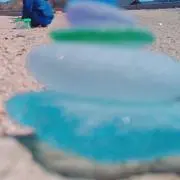 mieの画像