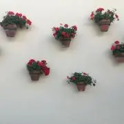 eriの画像