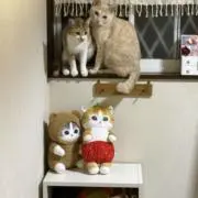 まさみ