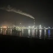 hiyokoの画像