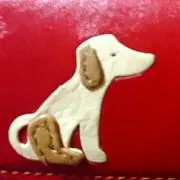 不器用なおばさんの画像