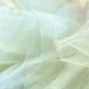 paseriの画像