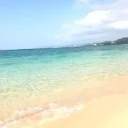 KZ★（プロフ必読）の画像