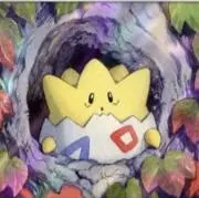 ぴぴの画像