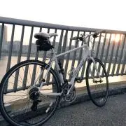 しら【土日に発送します】