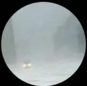 ロシア軍 VKBO レイヤー5上下 キャップセット デジタルフローラ