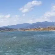 ジョニー・ポールの画像