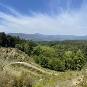 yuzu【フォロー割有り】の画像