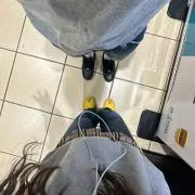 きの画像