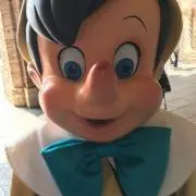 ぴのの画像