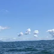 なーの画像