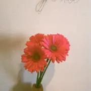 .nagomi.の画像