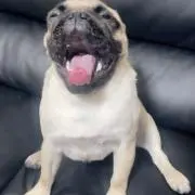 ☆koko☆の画像