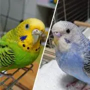 ☆愛☆