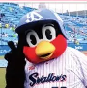 ゆうわん