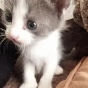 ナツやん