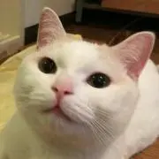みらい