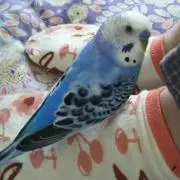 ひなたママの画像
