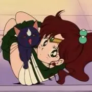seiの画像