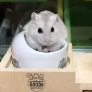 mama☻の画像