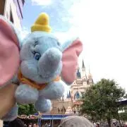alohappy