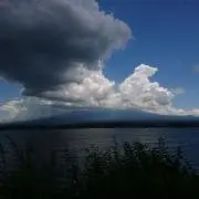 ばんびの画像