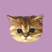 Kの画像