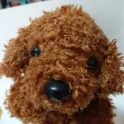 たかきちの画像