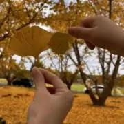 まはるの画像