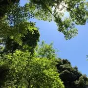 強者 地下格闘技 DVD 6枚セット - メルカリ