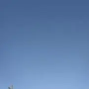 マロンの画像