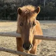 まる☆