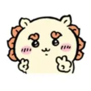 55の画像