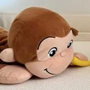 わかめの画像