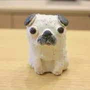 mumuの画像