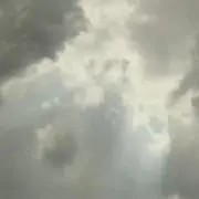 まさおの画像