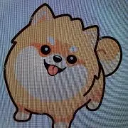 みーちゃんの画像