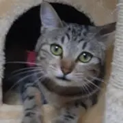 あいり(プロフ読んでね♪)の画像