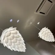 ぷーの画像