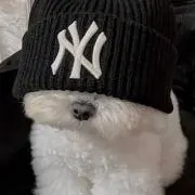 なーに