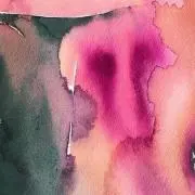 6の画像