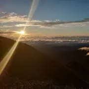 詩音