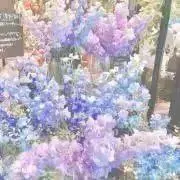 みみ(断捨離中)の画像
