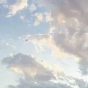 やまの画像