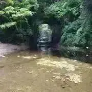hatuneの画像