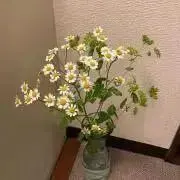 らら