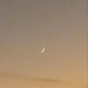 だちゅの画像