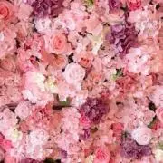 ℳ ※プロフ必読の画像